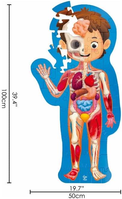 Puzzle del cuerpo humano