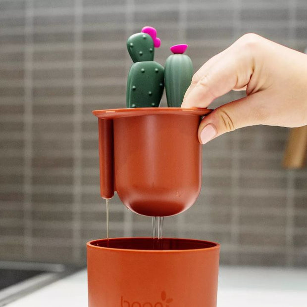 Juego de pinceles para cactus