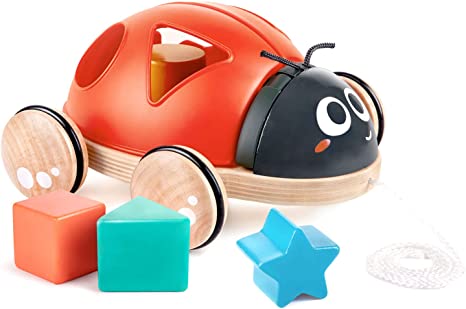 Ladybug Shape Sorter