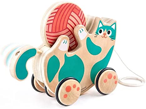 Roll & Rattle Kitten