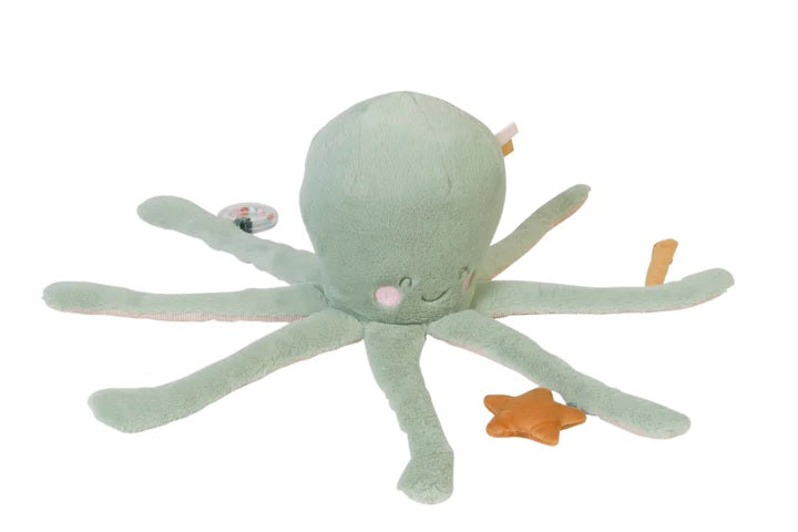 Multi-Activity Octopus