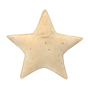 Shinning Star Decor Accent