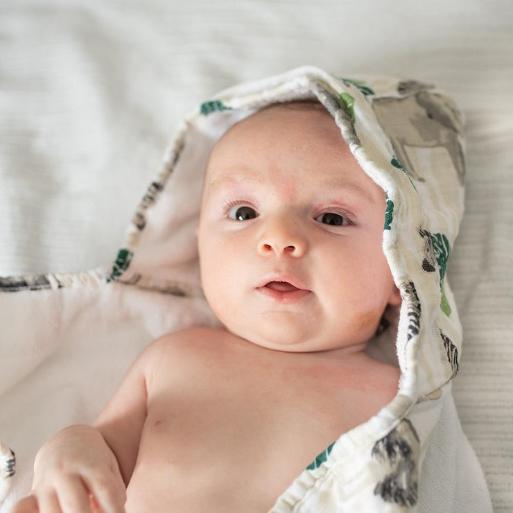 Bebe Hooded Towel