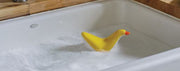 Floating Duck