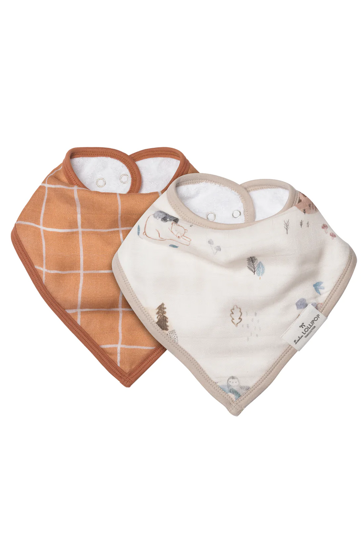 Bandana Bib Set