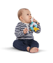 Shake & Chew Rattle